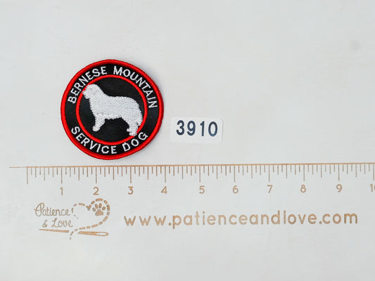 Ready to Ship - Patch - #3910 - 2023 PREMADE