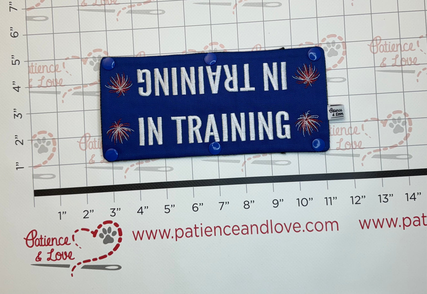 Patriotic - In Training Fireworks, Leash Sleeve