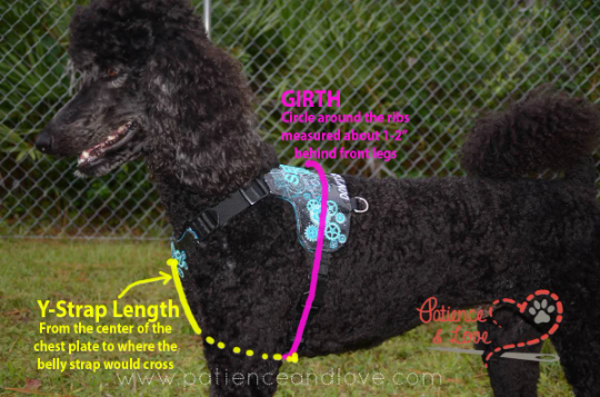 Removable Y‑Front Chest Plate (Patience & Love Orbit Vests and Convertibles)