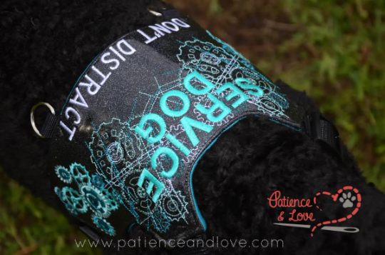 Harness, Standard Size, Custom embroidered vinyl, personalized with your Design