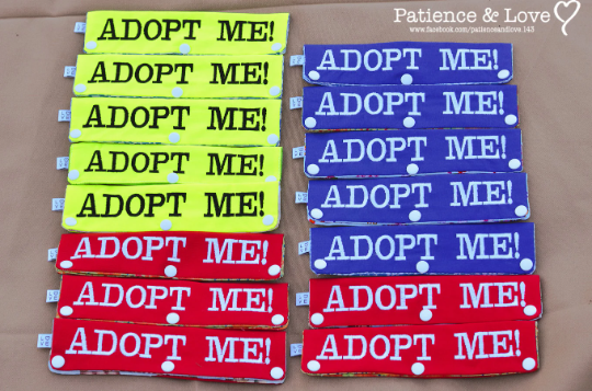 ADOPT ME, Set of 20 leash sleeves
