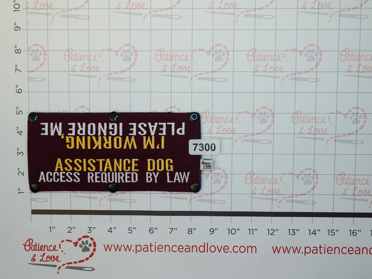 Ready to ship - Leash sleeve - 2025 - #7300