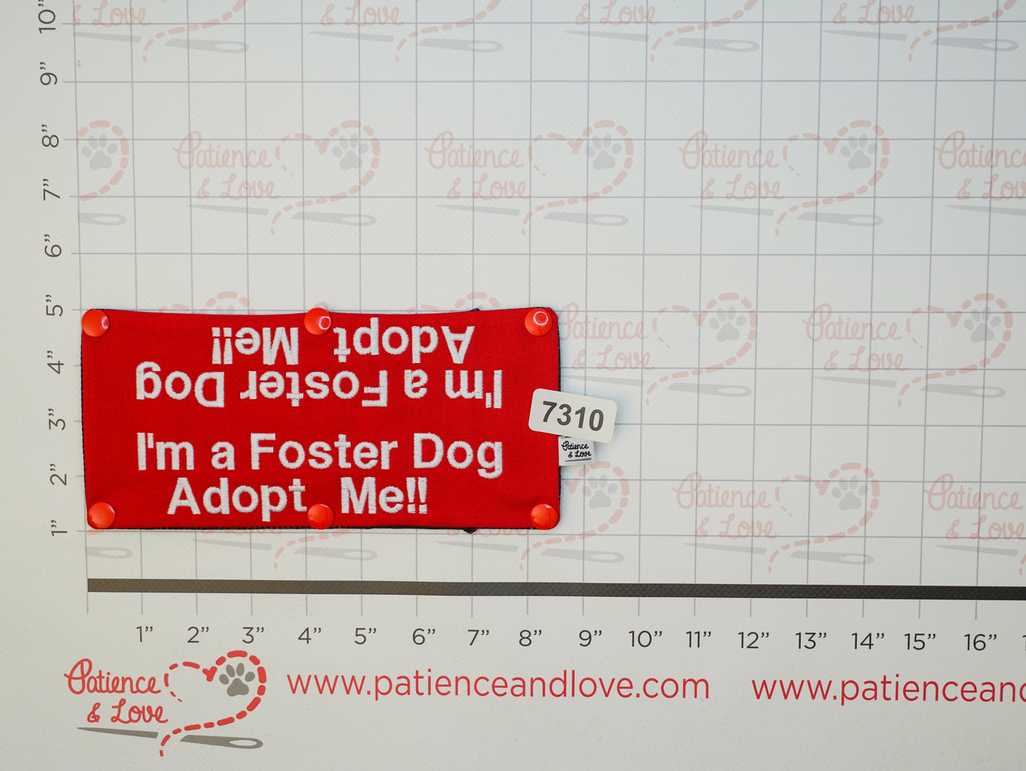 Ready to ship - Leash sleeve - 2025 - #7310