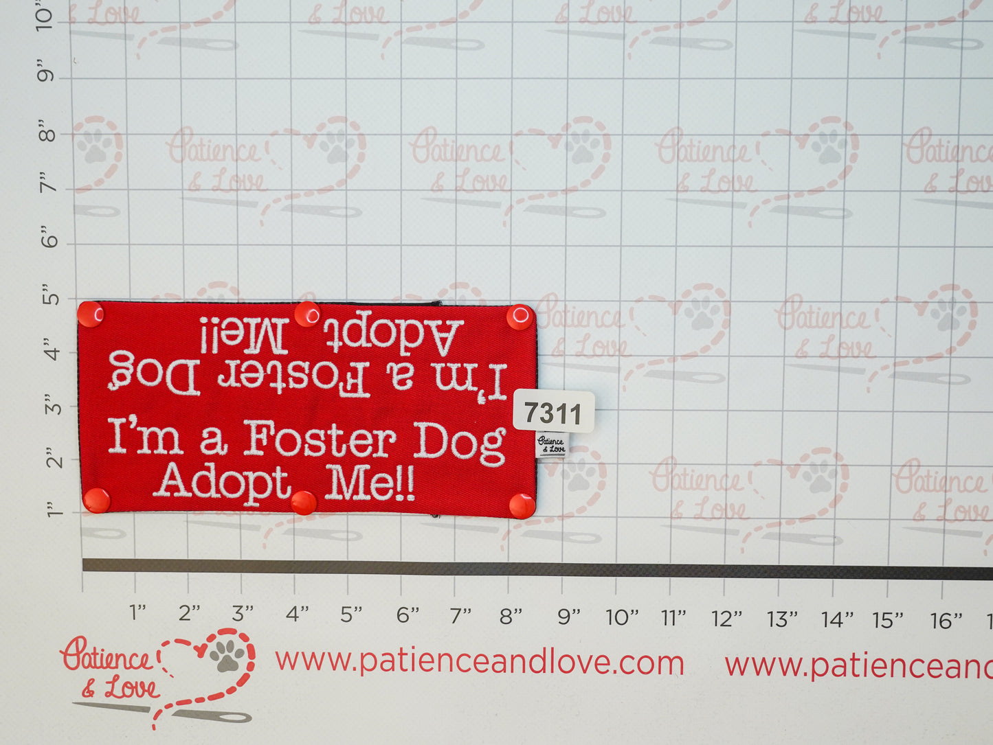 Ready to ship - Leash sleeve - 2025 - #7311