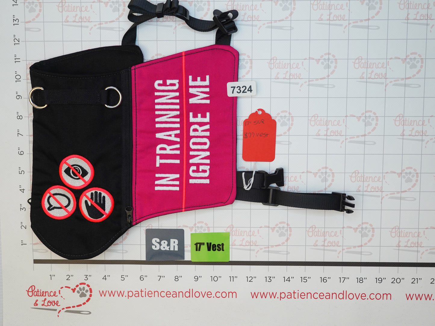 Ready to ship - S&R Vest - 2025 - #7324