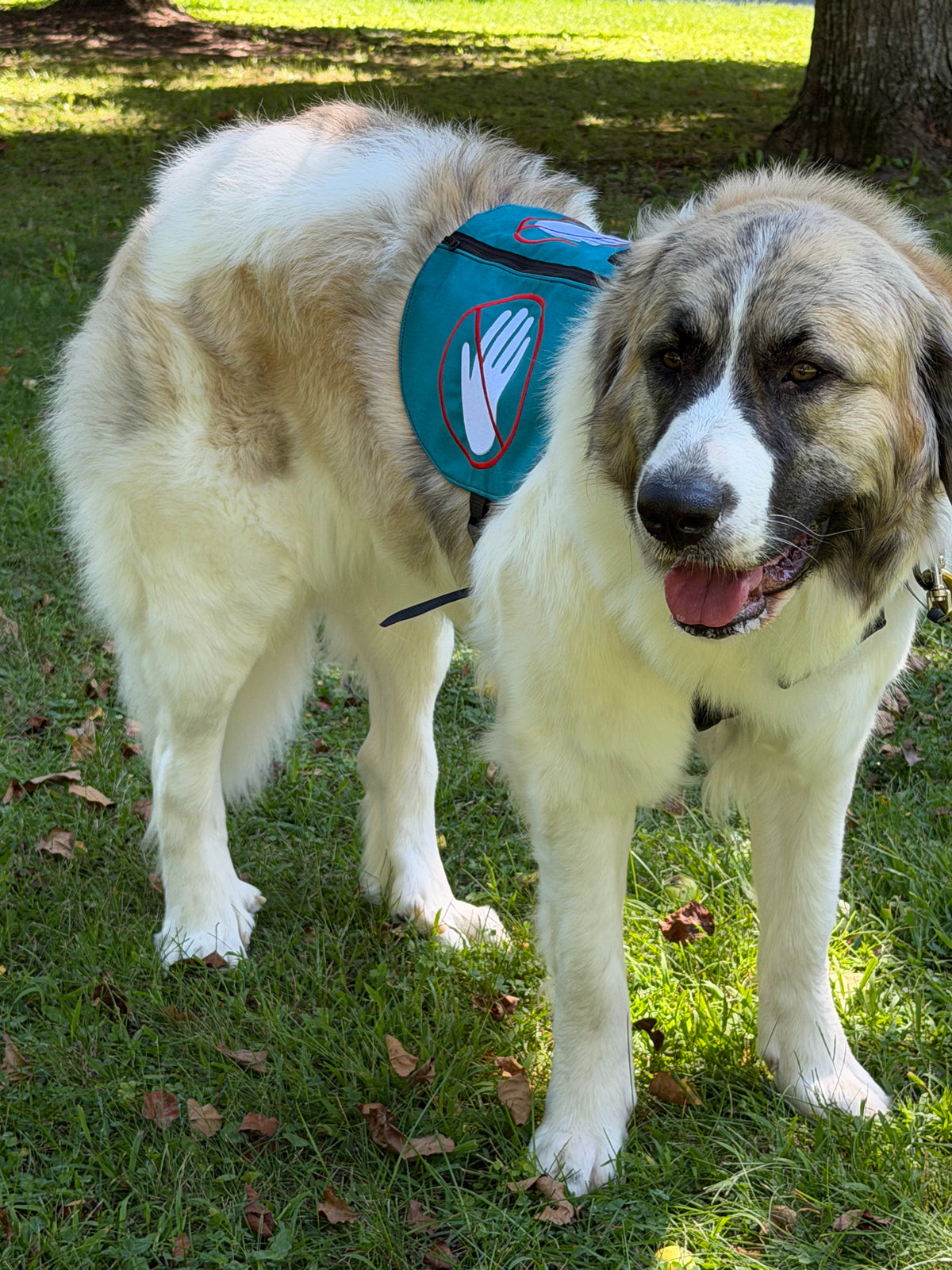 Orbit Vest - Dual‑Use Cape / Y‑Front Vest