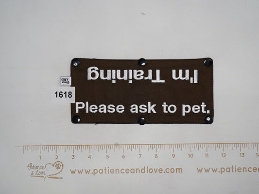 Ready to ship - Leash sleeve - 2022 - #1618