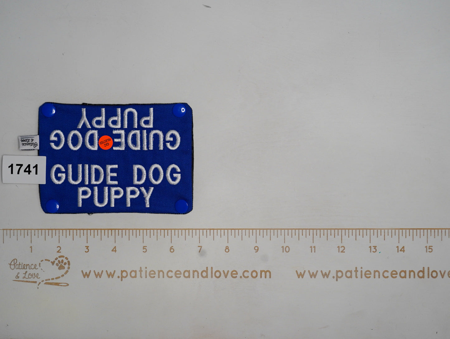 Ready to ship - Leash sleeve - 2022 - #1741