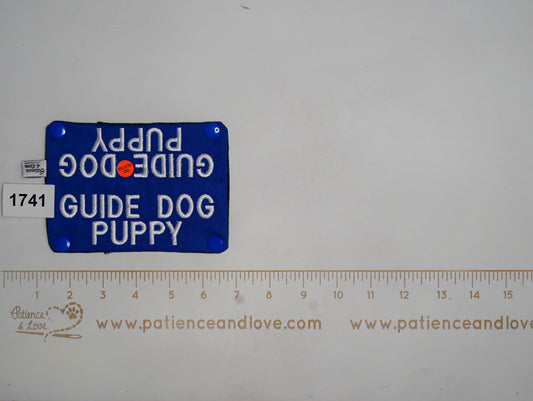 Ready to ship - Leash sleeve - 2022 - #1741
