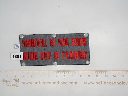 Ready to ship - Leash sleeve - 2022 - #1881