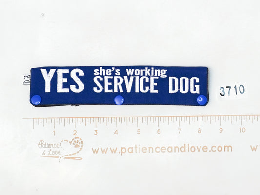 Ready to ship - Leash sleeve -#3710 - 2023 PREMADE
