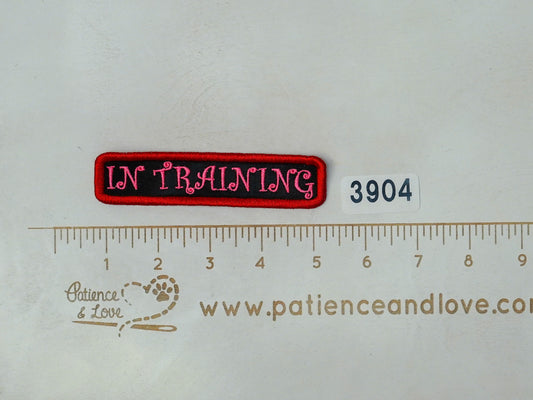 Ready to Ship - Patch - #3904 - 2023 PREMADE
