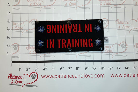 Patriotic - In Training Fireworks, Leash Sleeve