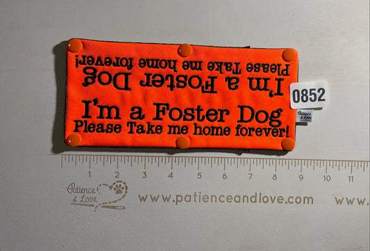 Ready to ship - Leash sleeve - 2021 - #0752