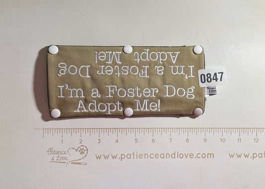 Ready to ship - Leash sleeve - 2021 - #0847