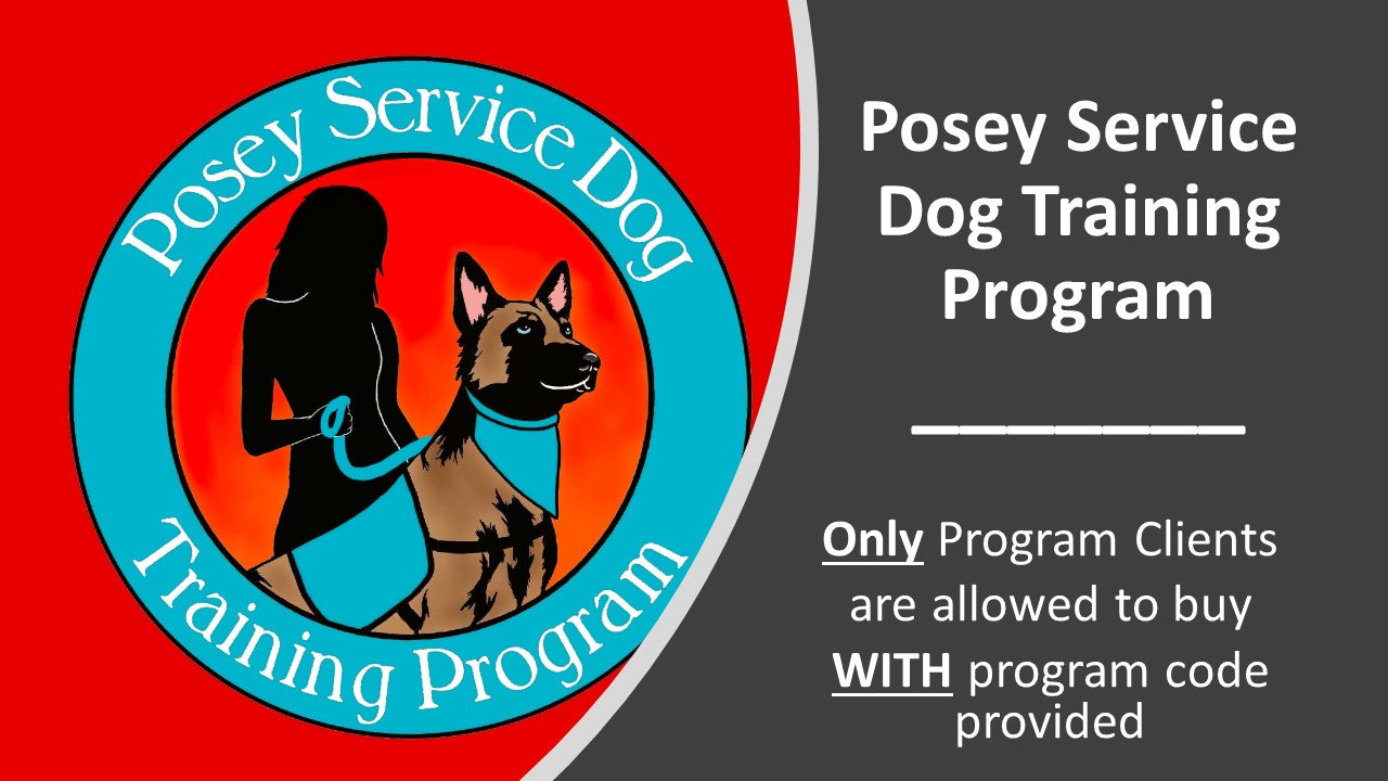 Posey Service Dog Program - Custom S&R Vest