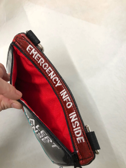 Ready to Ship - Zippered Pouch - #3931 - 2023 PREMADE