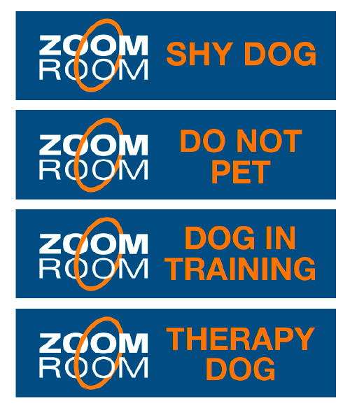 Program Sleeves - 20 sleeves for Zoom Room