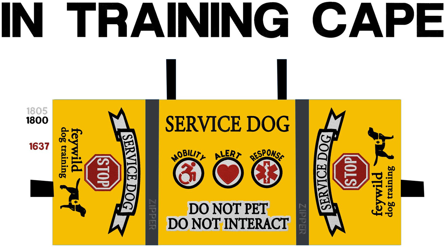 Program Vest - Feywild Dog Training
