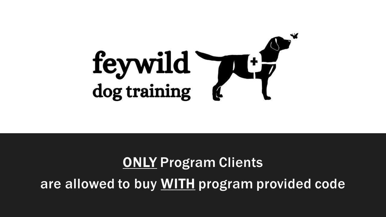 Program Vest - Feywild Dog Training