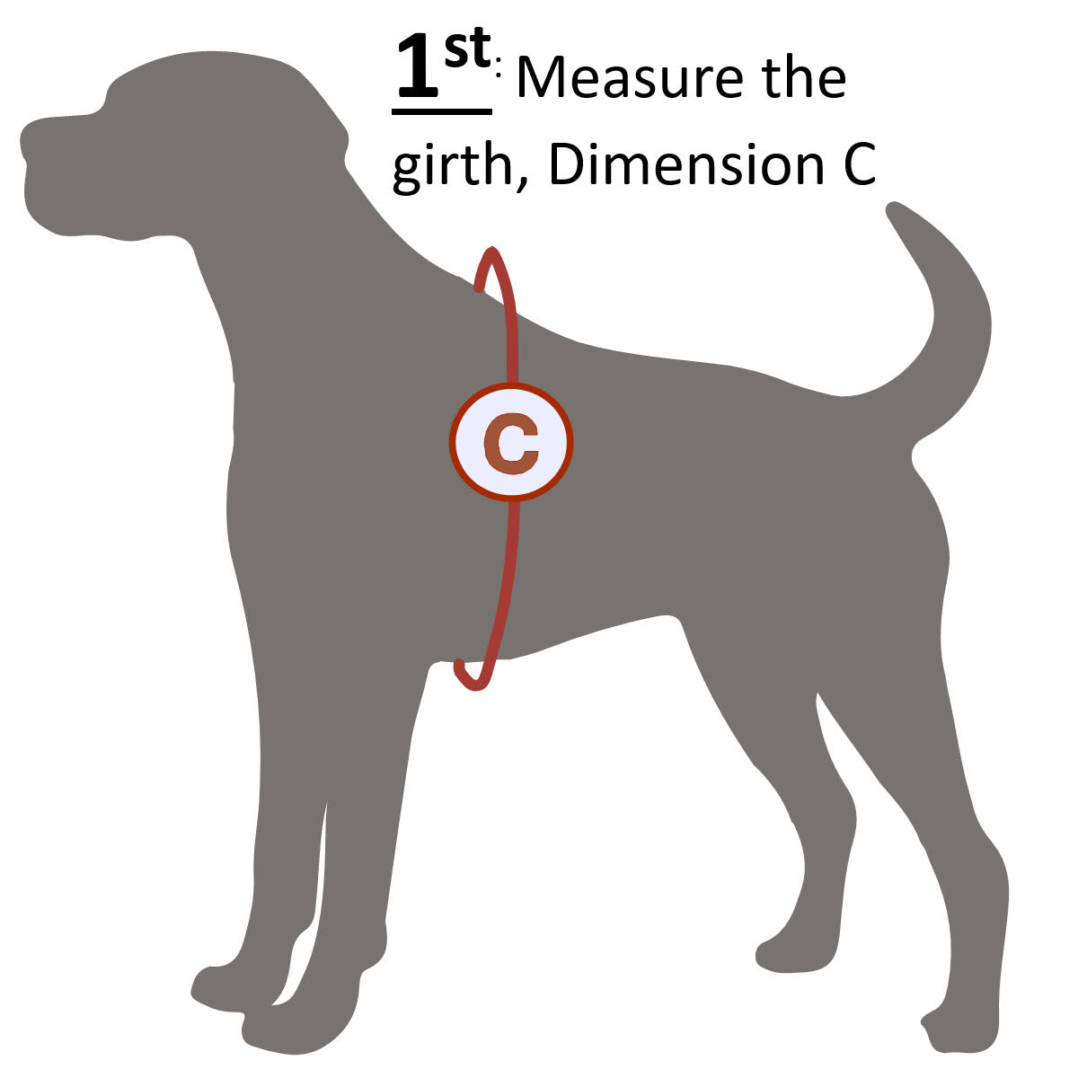 Program Vest - Capable Canines Vest