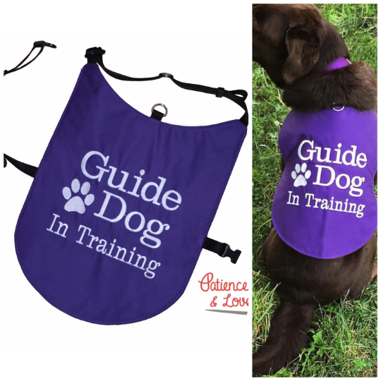 Jacket, Custom dog jacket, Embroidered with your text or design, custom embroidered