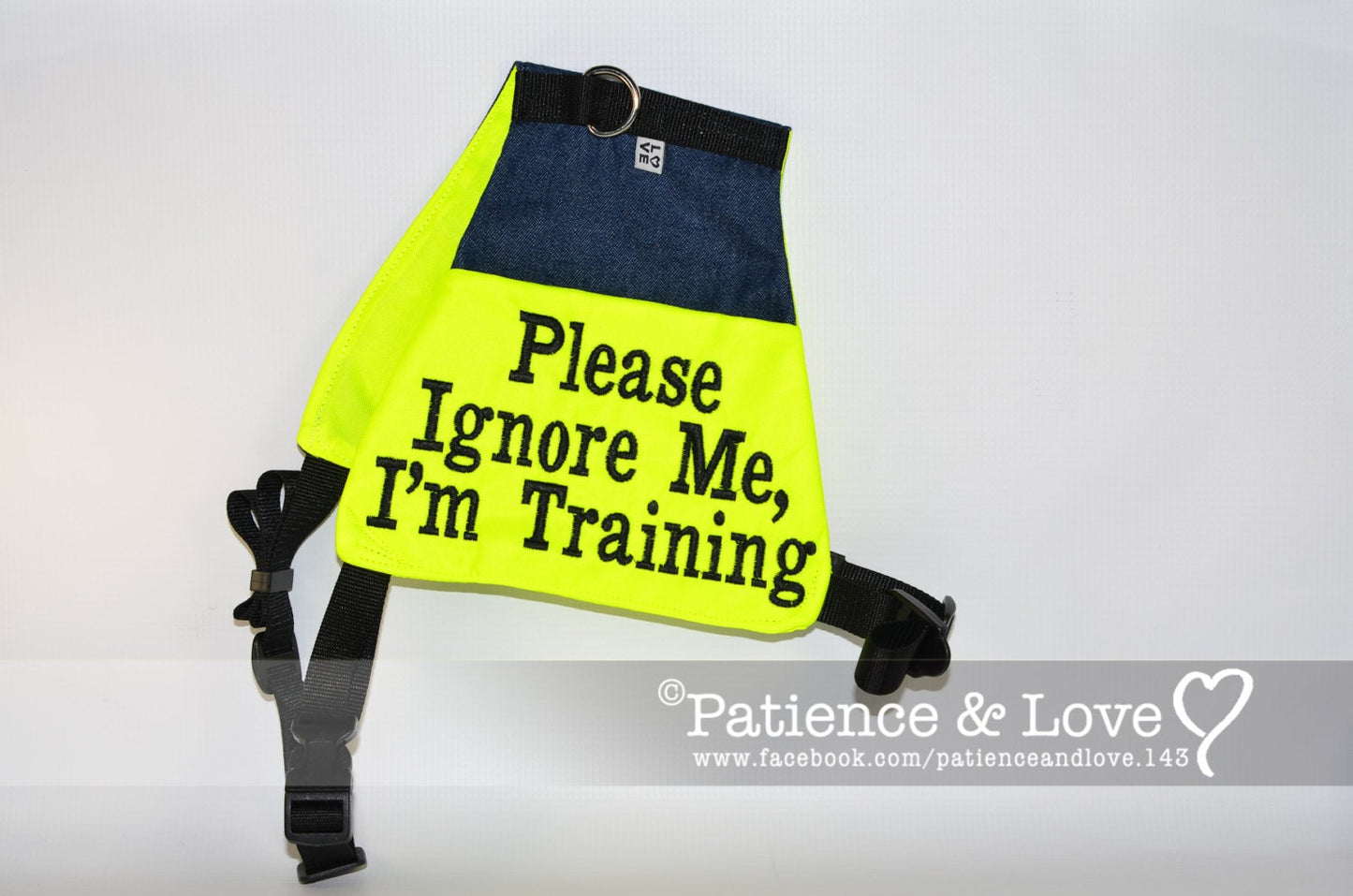Please Ignore Me, I'm Training, Butterfly Style Embroidered Vest